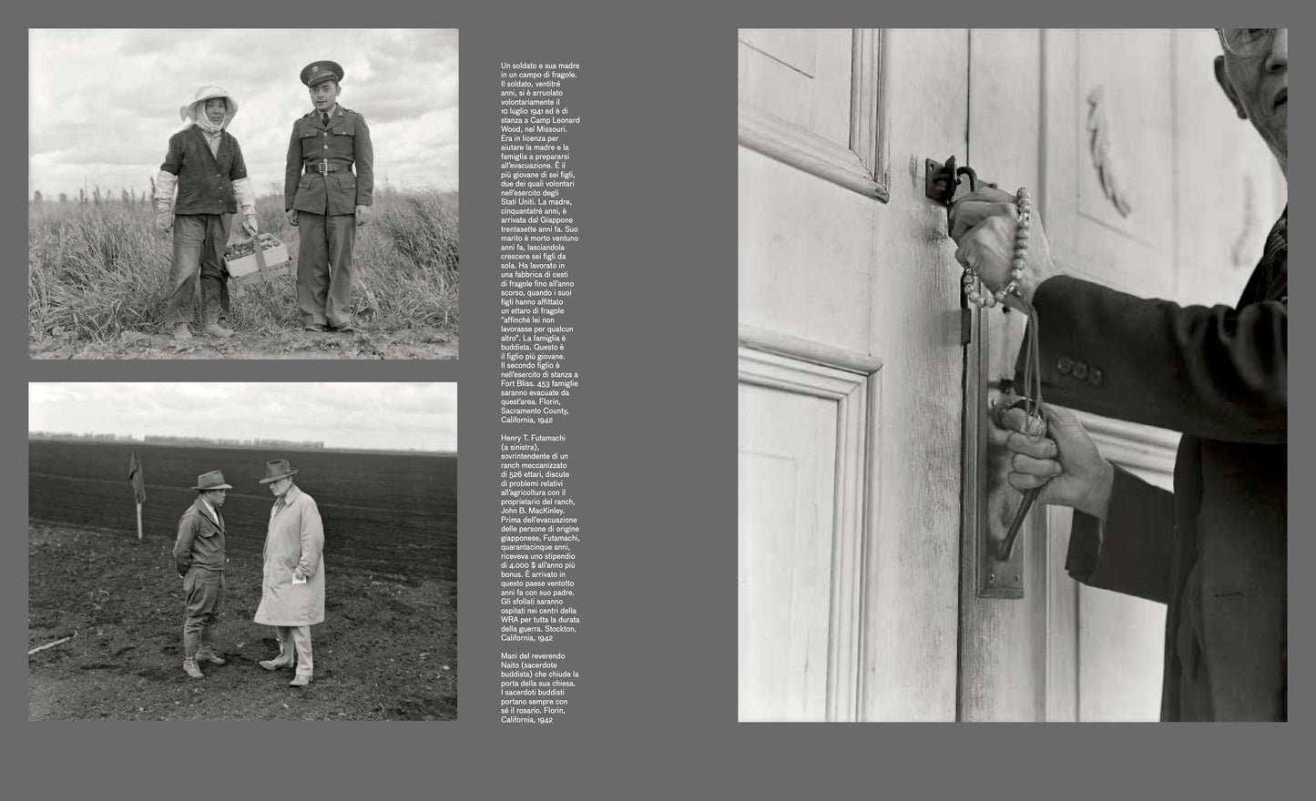 DOROTHEA LANGE