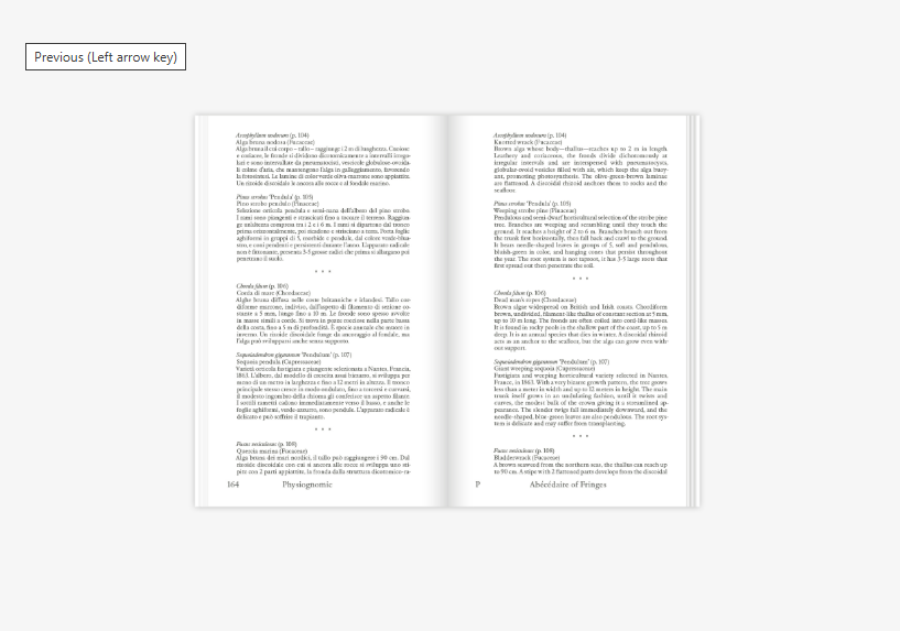 ABÉCÉDAIRE OF FRINGES