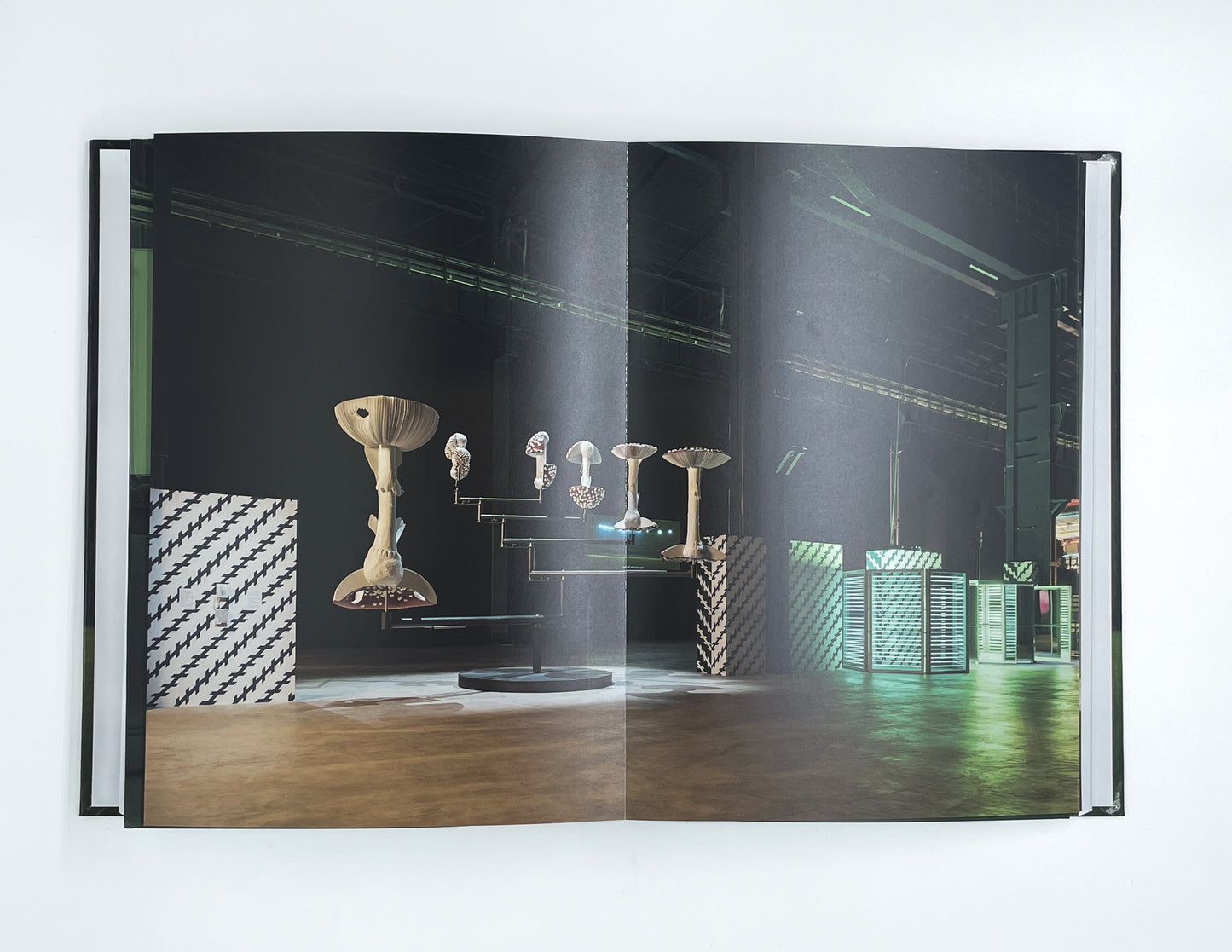 DOUBT | CARSTEN HOLLER