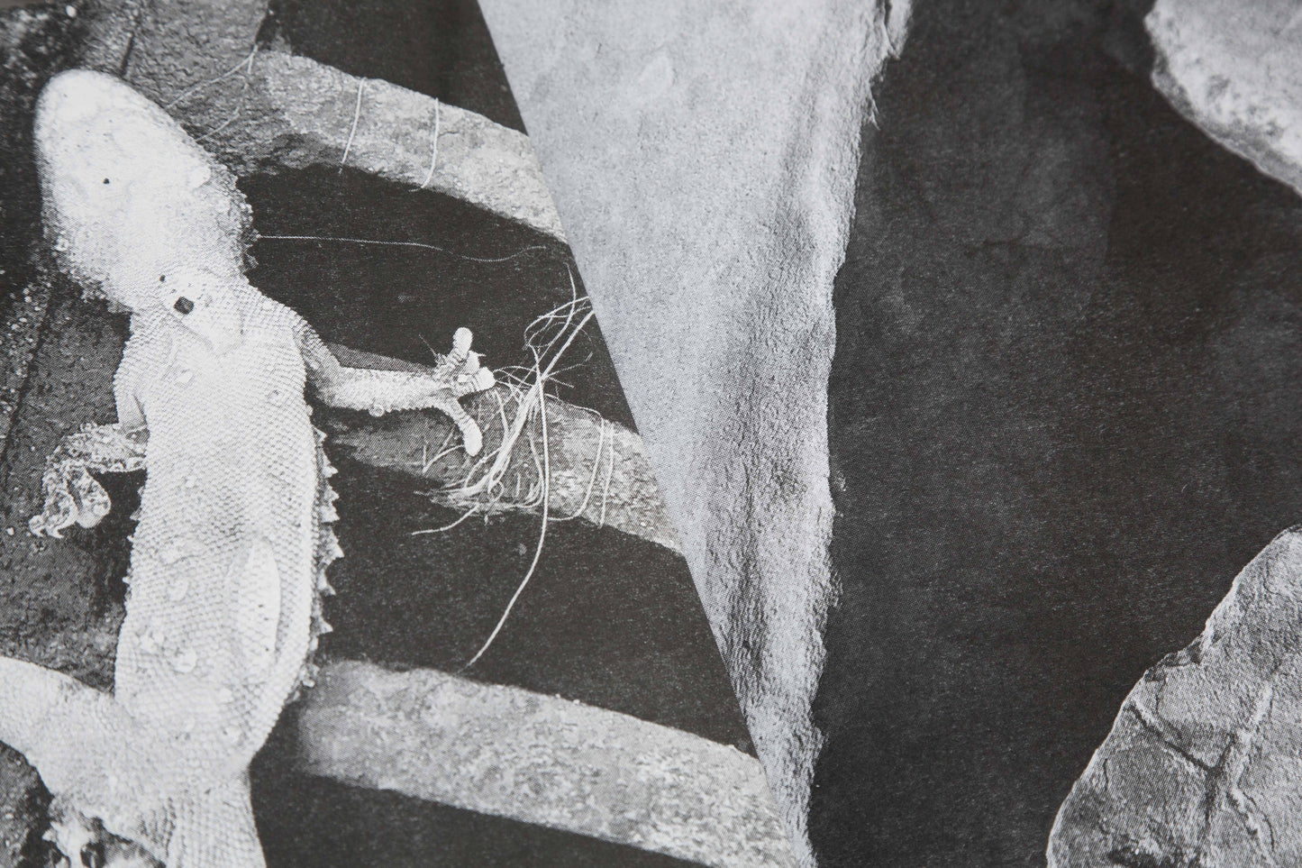 NELL'ALBA DEL TUO SGUARDO | NUMERO CROMATICO