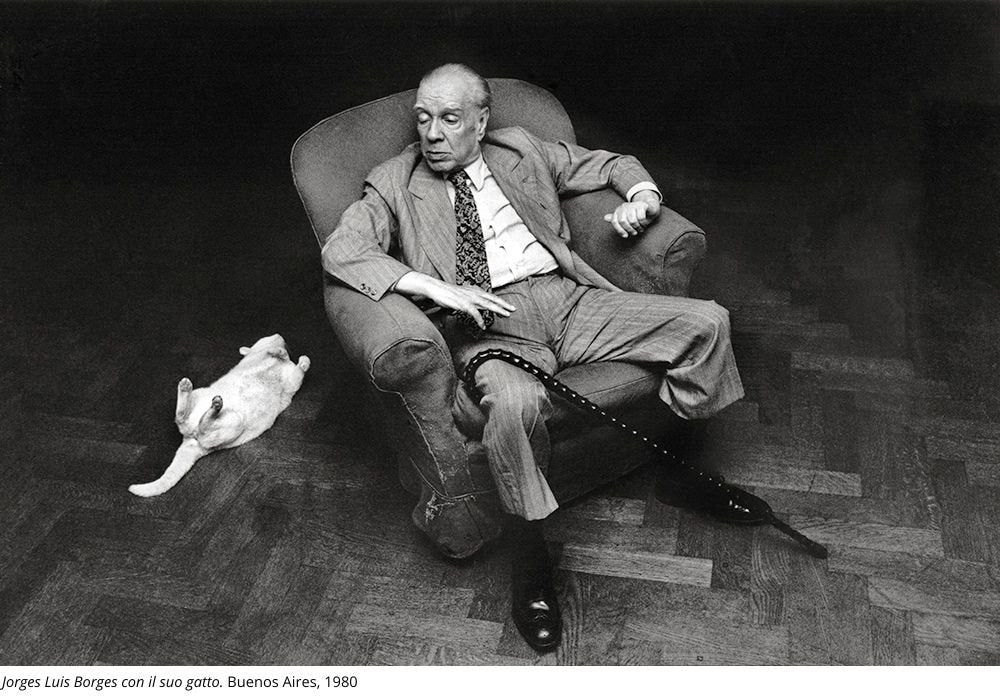 ITINERARI. IL LUNGO VIAGGIO DI UNA FOTOGRAFA | PAOLA AGOSTI