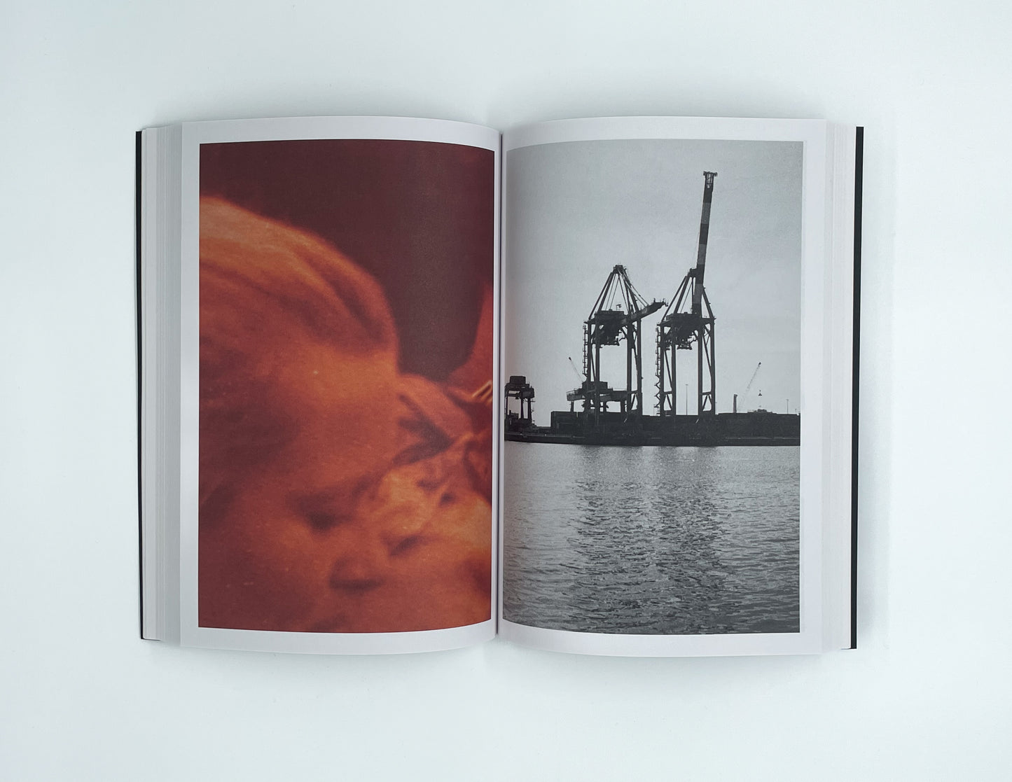 OIKEIOSIS | MARA PALENA