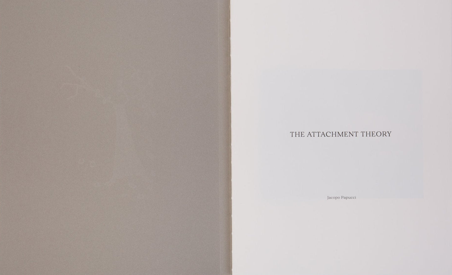 THE ATTACHMENT THEORY | JACOPO PAPUCCI