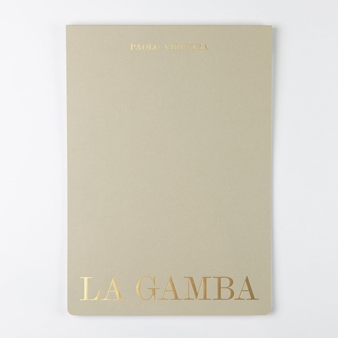LA GAMBA RITROVATA | Paolo Ventura
