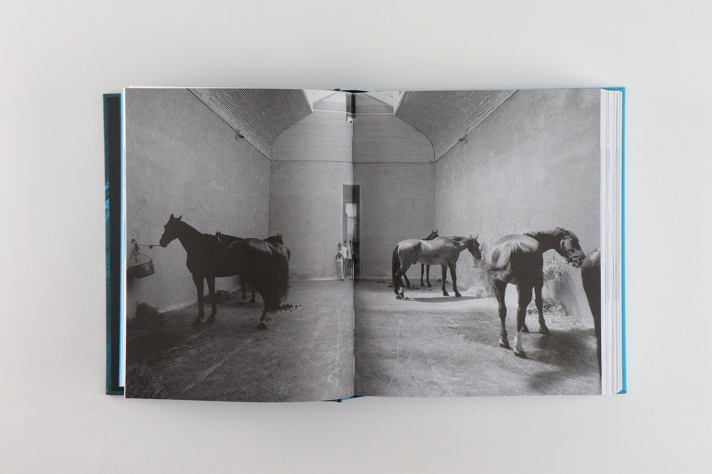 THE STORY OF (MY) EXHIBITIONS | GERMANO CELANT