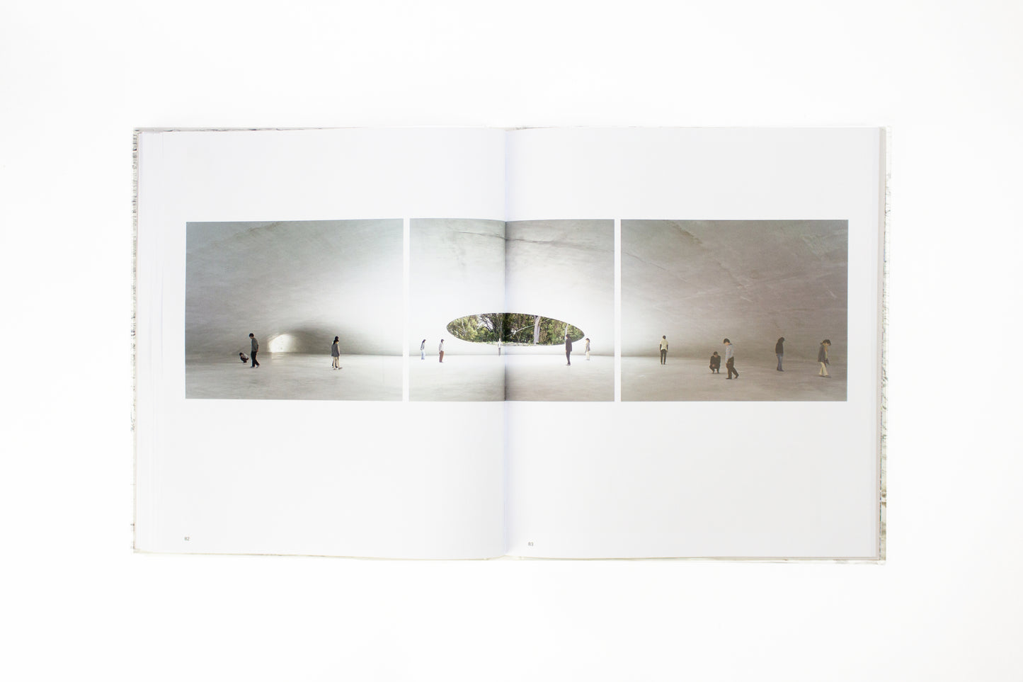 TRANSFORMATIONS | WALTER NIEDERMAYR