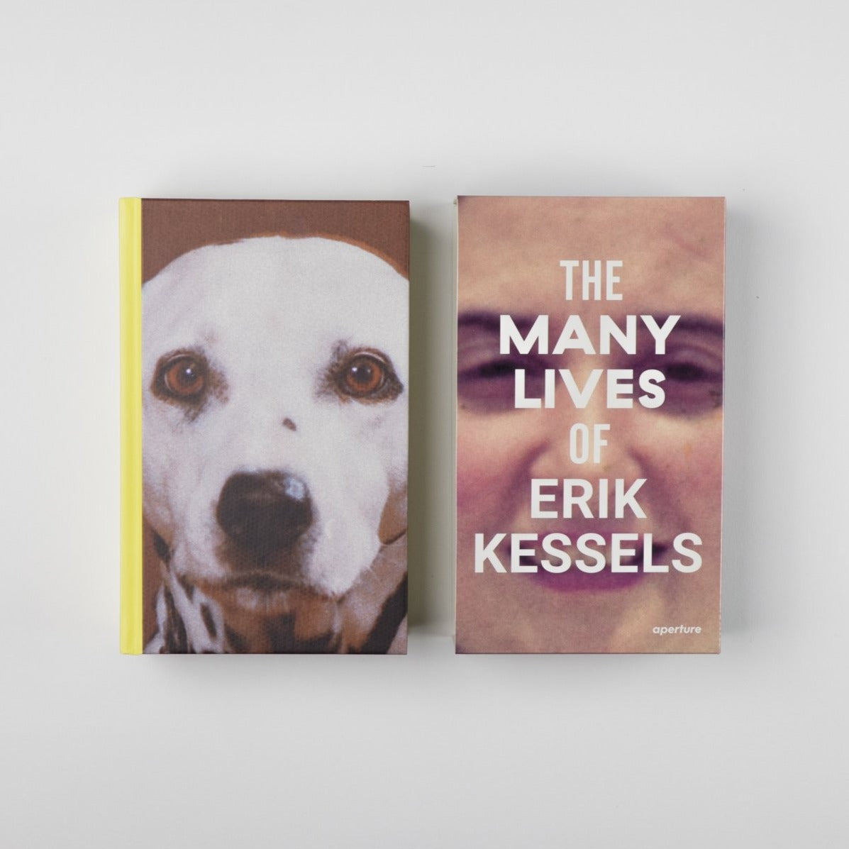 THE MANY LIVES OF ERIK KESSELS | AA.VV