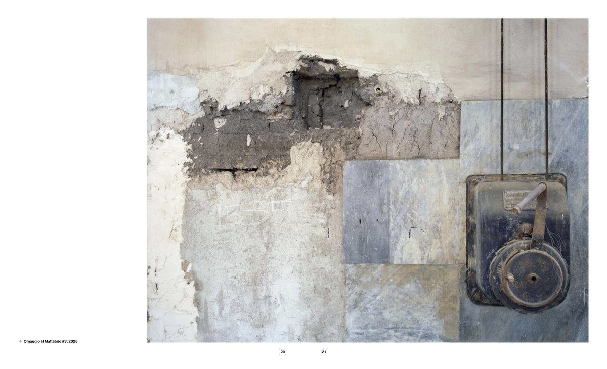 SILVIA CAMPORESI | C’È UN TEMPO E UN LUOGO