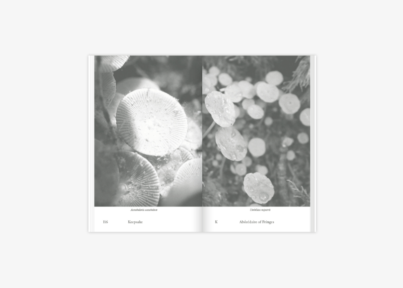 ABÉCÉDAIRE OF FRINGES