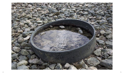 GIUSEPPE RIPA | POLITICO