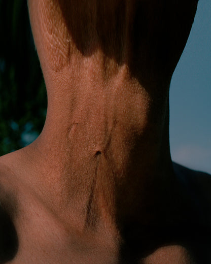 IL GIARDINO | FABRIZIO ALBERTINI