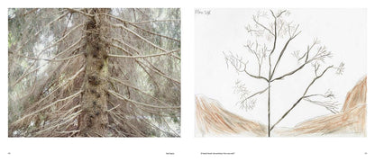 FRANCESCO JODICE | RACCONTI DI BOSCHI, DI FABBRICHE E DI PERSONE