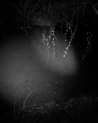 LA TEORIA DEL VUOTO | WITTY BOOKS