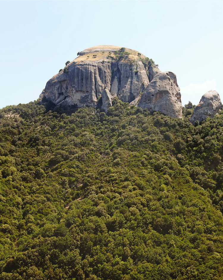 LA TEORIA DEL VUOTO | WITTY BOOKS