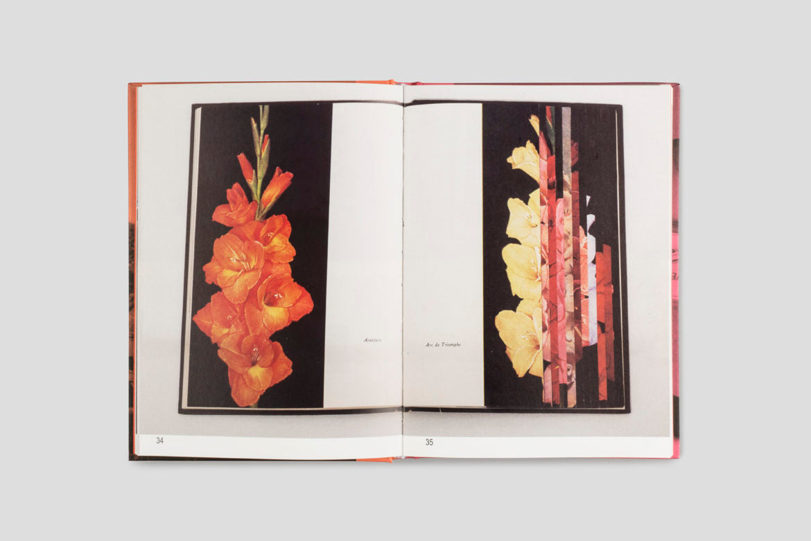 CRISTIAN CHIRONI | MY HOUSE IS A LE CORBUSIER - BROKEN ENGLISH