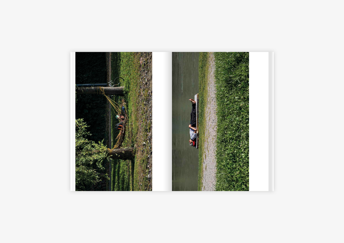 NEL VEDERE LUNGO IL FIUME