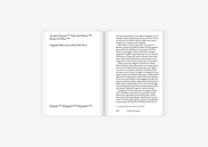 NEL VEDERE LUNGO IL FIUME