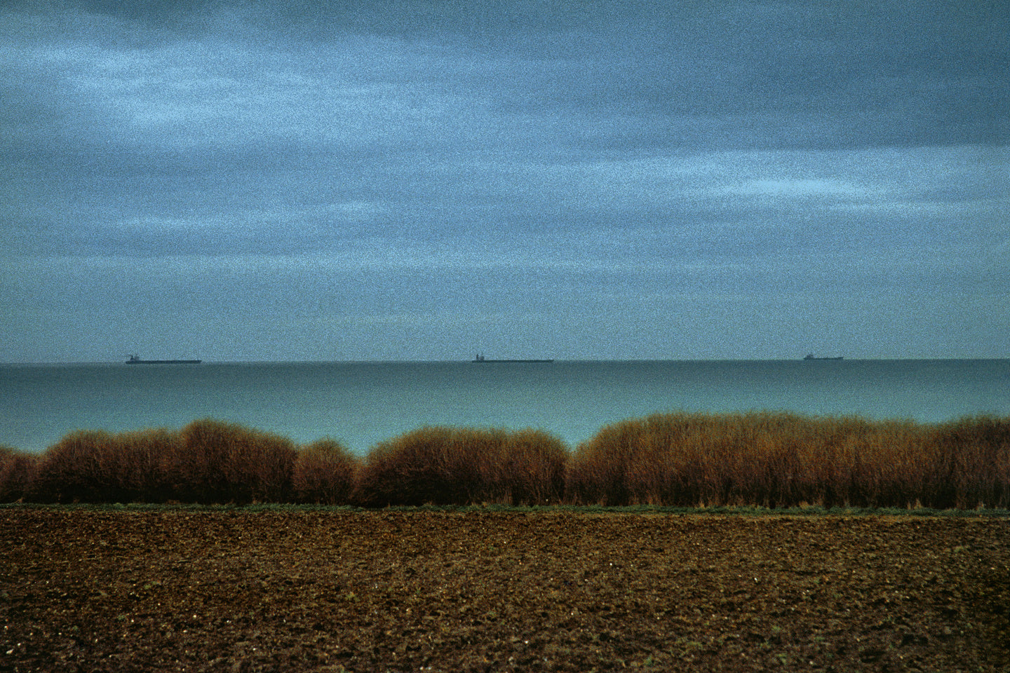HARRY GRUYAERT | RIVAGES