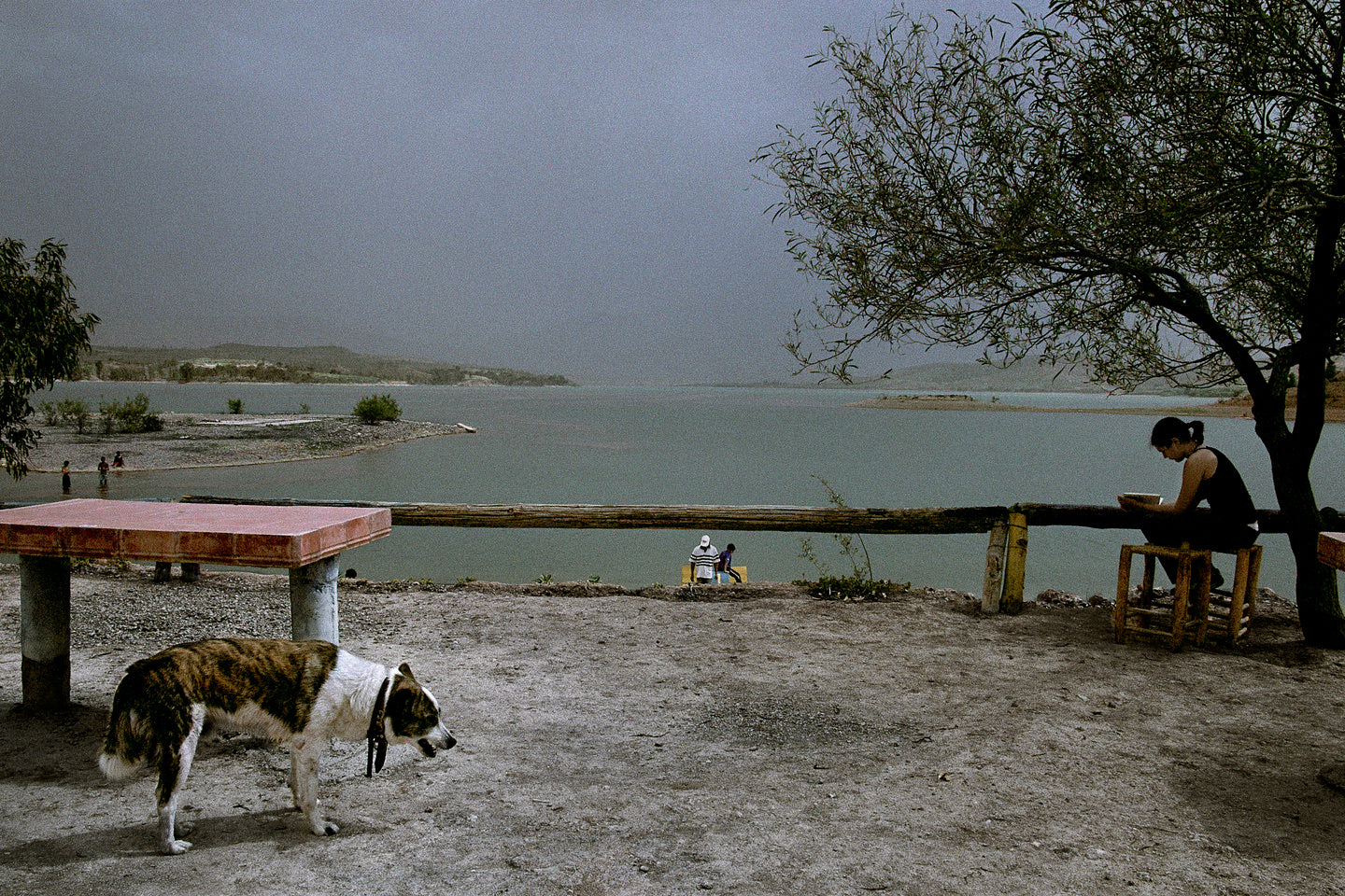 HARRY GRUYAERT | RIVAGES
