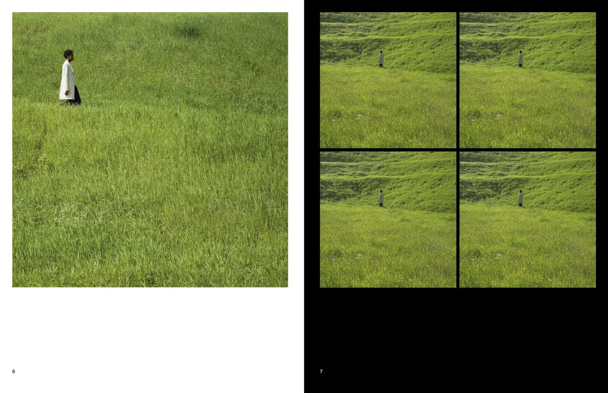 SILVIA ROSI | DISINTEGRATA