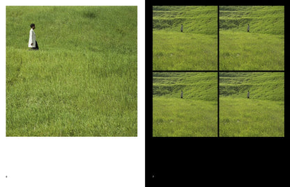 SILVIA ROSI | DISINTEGRATA