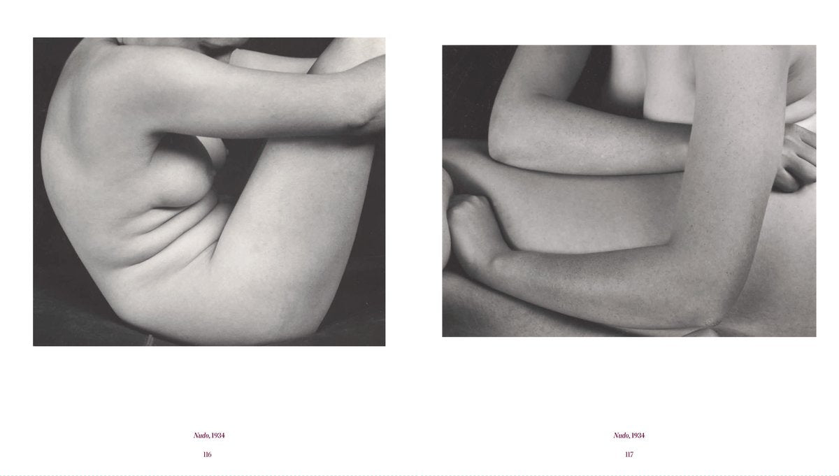 EDWARD WESTON | LA MATERIA DELLE FORME