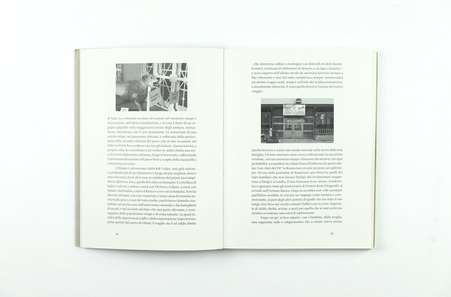 NARCISO NELLE COLONIE UN ALTRO VIAGGIO IN ETIOPIA | VINCENZO LATRONICO, ARMIN LINKE