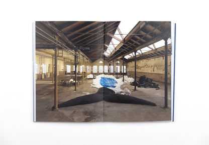 THE WHALE THEORY | CLAUDIA LOSI