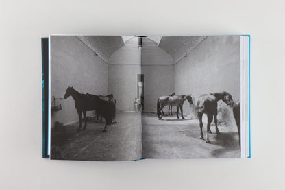 THE STORY OF (MY) EXHIBITIONS | GERMANO CELANT